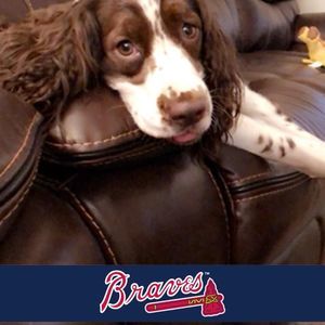 Meet your Posher, Janice